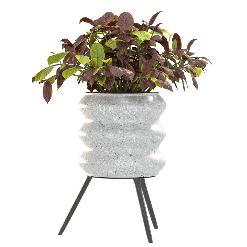 Concrete Pot Plant Set Image 6