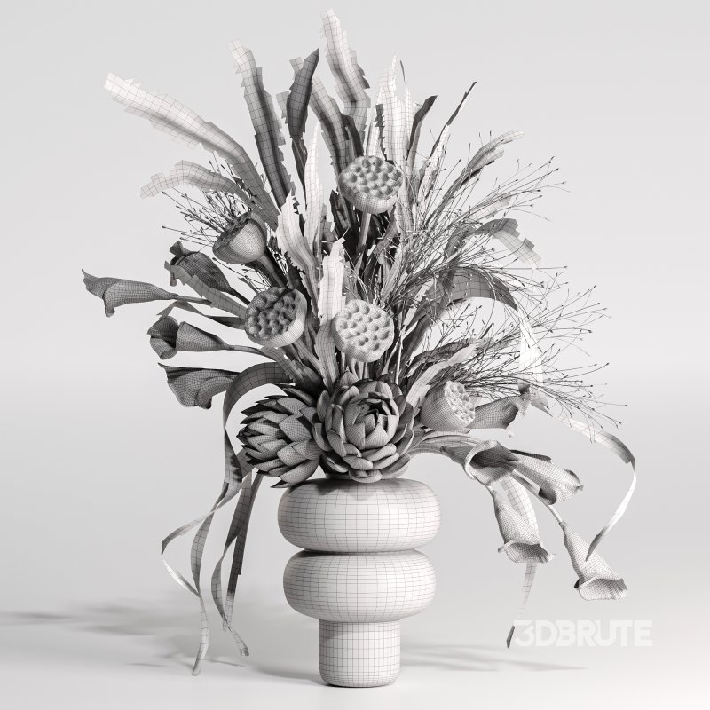 Lotus and Artichoke Dried Set47 Image 6