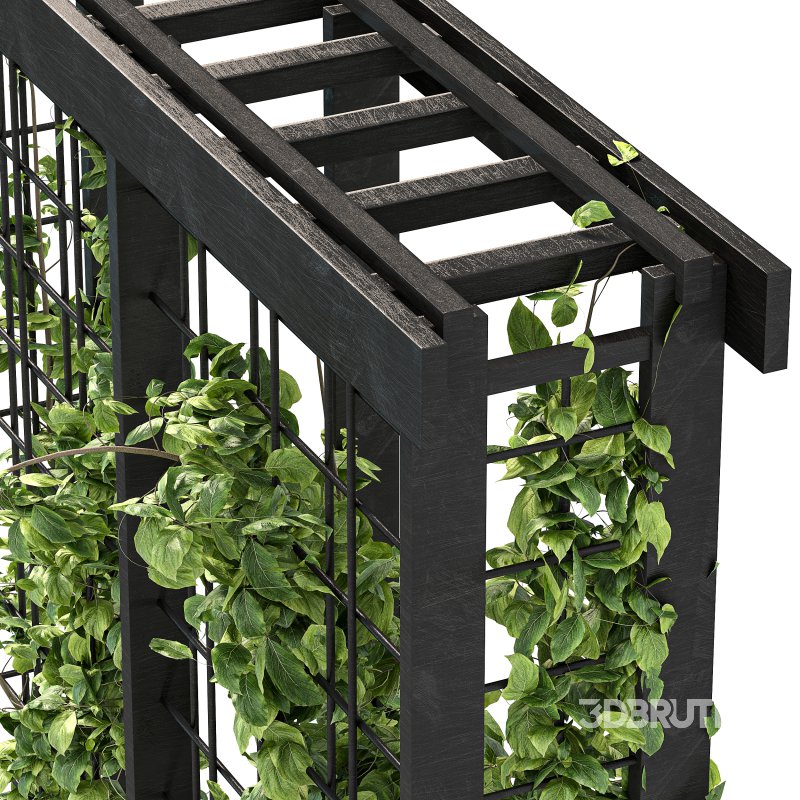 Vertical Garden Trellis 02 Image 9