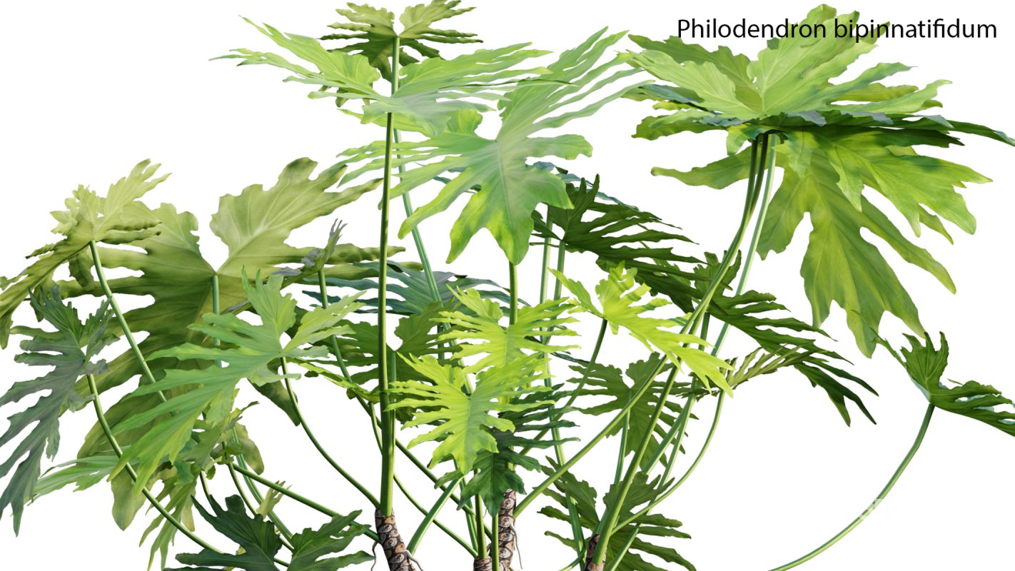 Collection 21 – Vertical garden – Green wall Image 19