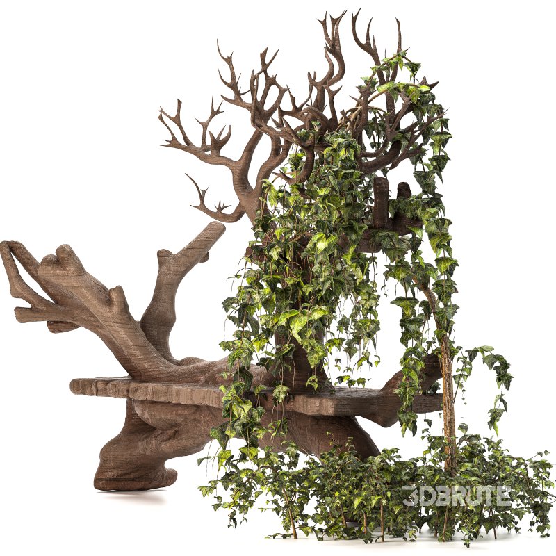 Wooden bench with English ivy Image 7