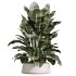 AV Indoor Plants Set 388 - Thumbnail 5