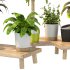 Wooden Stand Plant - Thumbnail 7