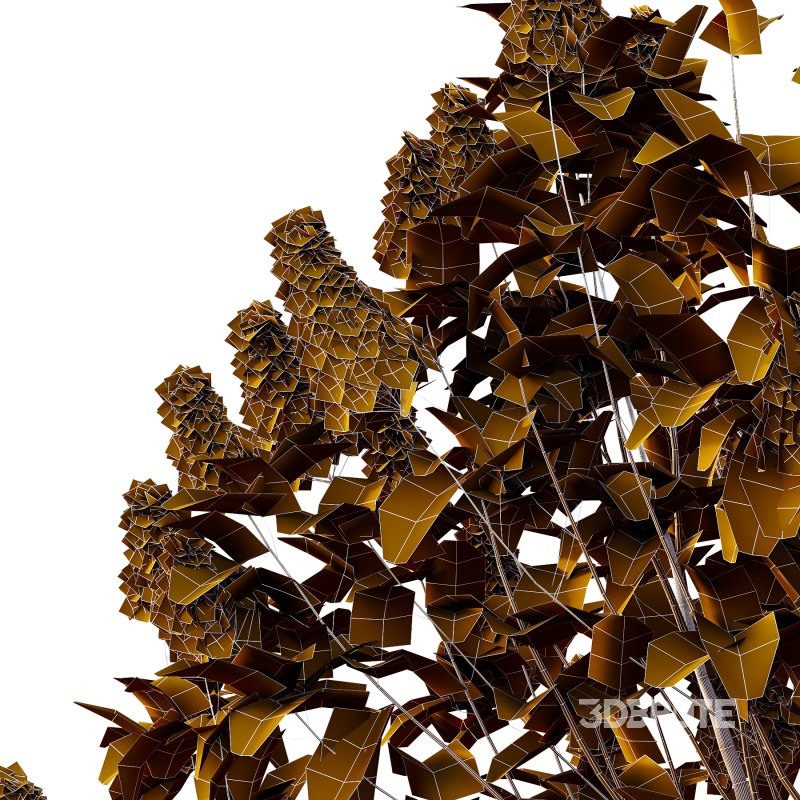 Lilac Syringa Vulgaris Tree 06 Image 3