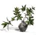 Green Branch in Vase - Thumbnail 2