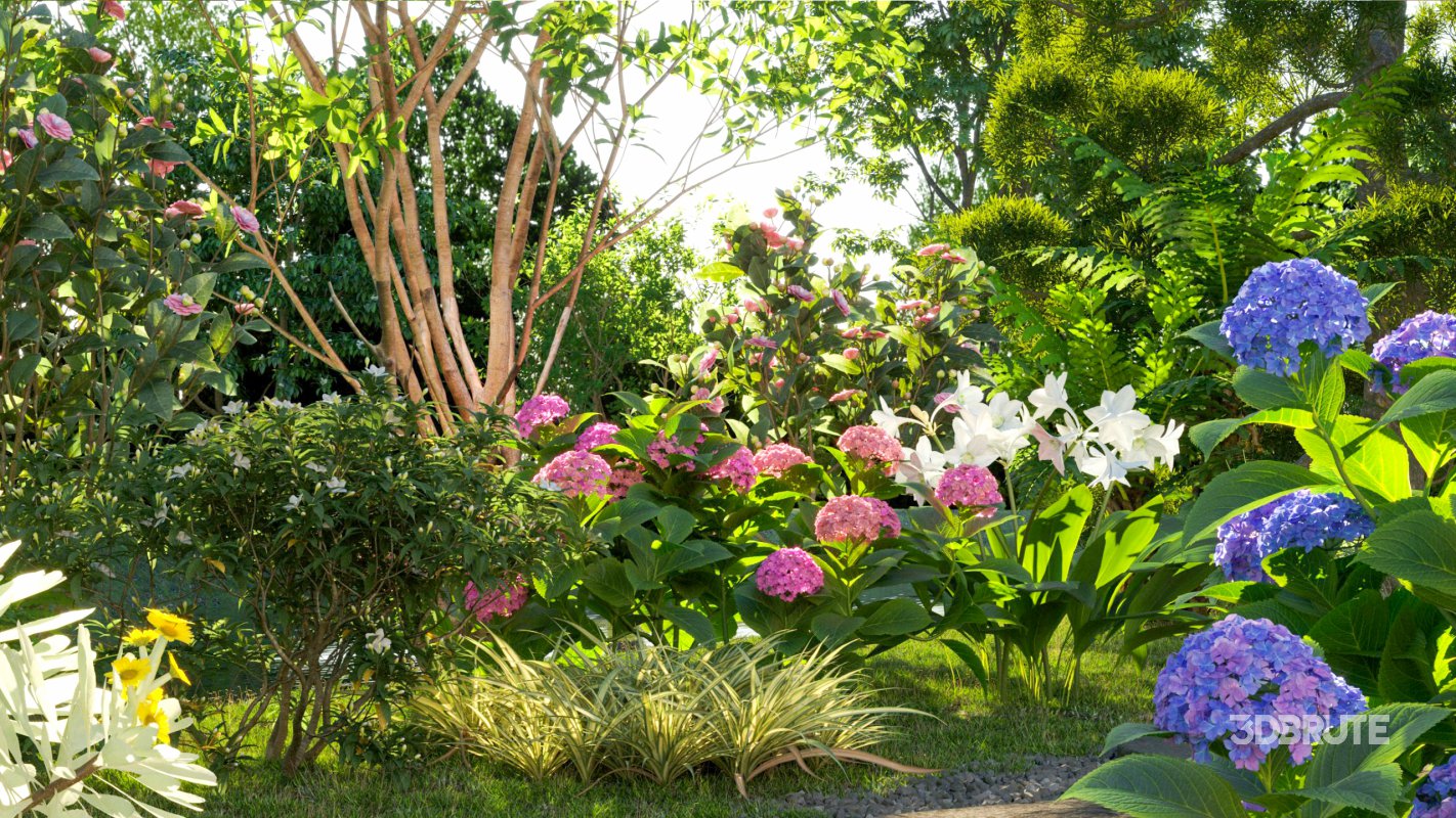 Collection 19 – Japanese garden Image 2