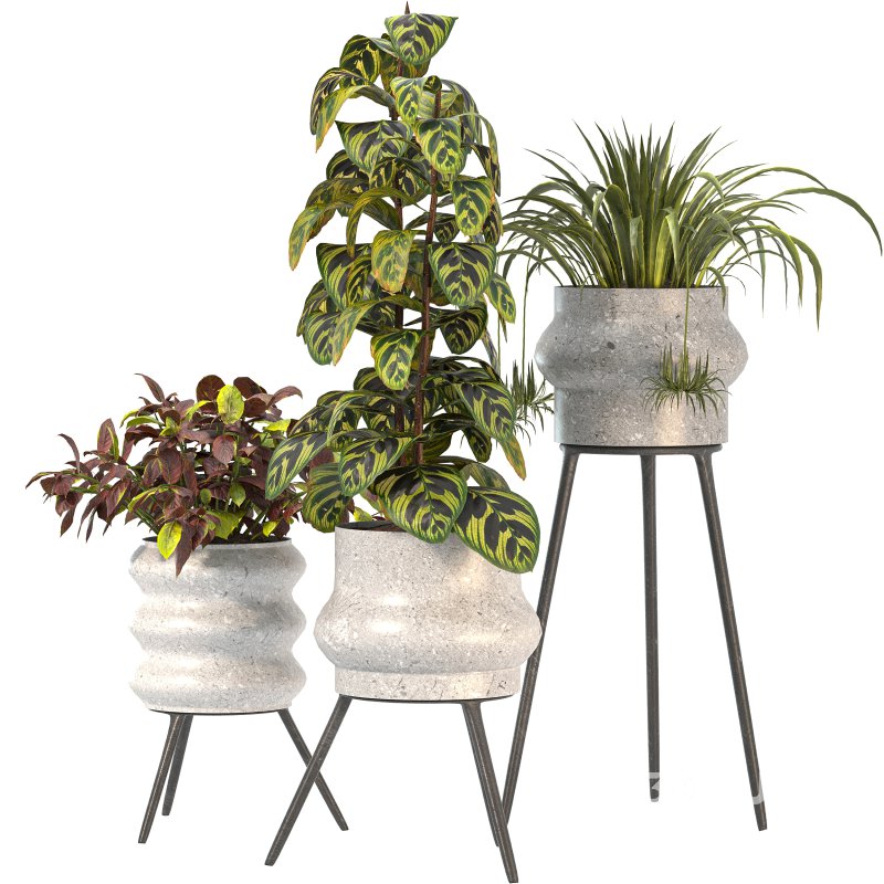 Concrete Pot Plant Set Image 4