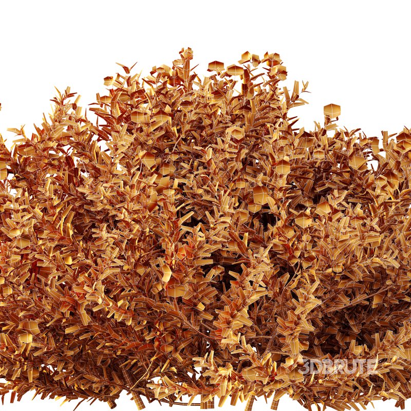 ntal shrubs designed for realistic landscape and architectural visualization. Image 7