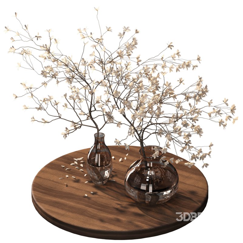 Indoor plant 075 Image 1