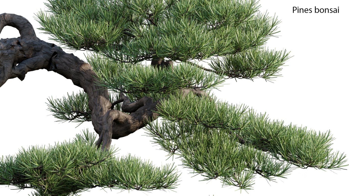 Collection 19 – Japanese garden Image 42