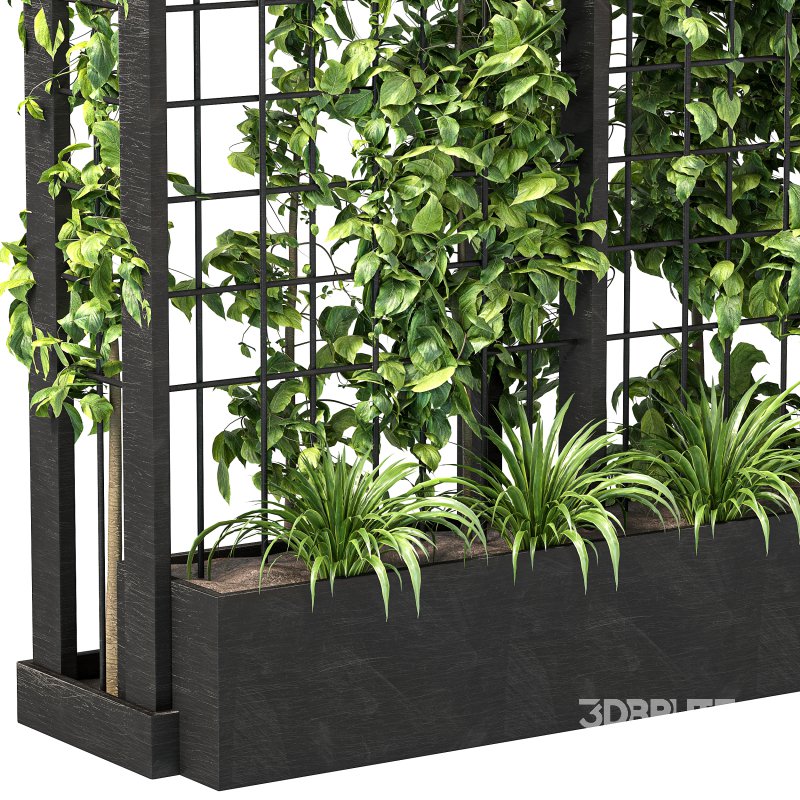 Vertical Garden Trellis 02 Image 10