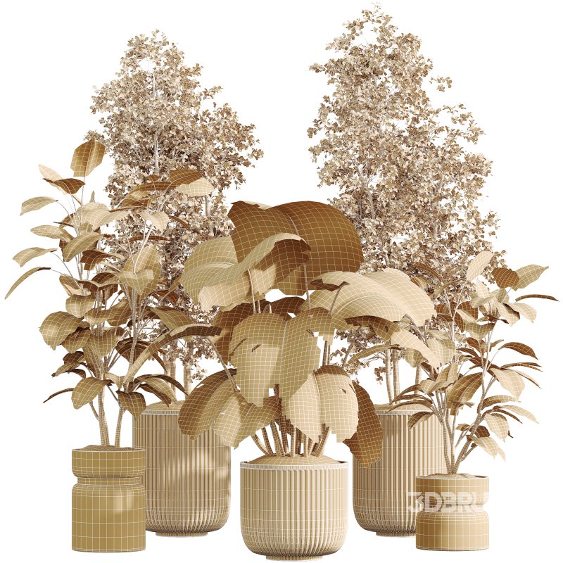 AV Indoor Plants Set 398 Olive and Swiss Cheese and Ficus lyrata Fiddle Image 7