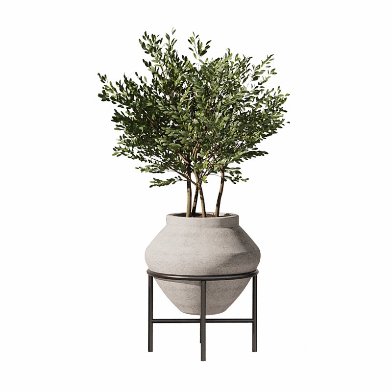 Indoor Plants Set 101 Image 4