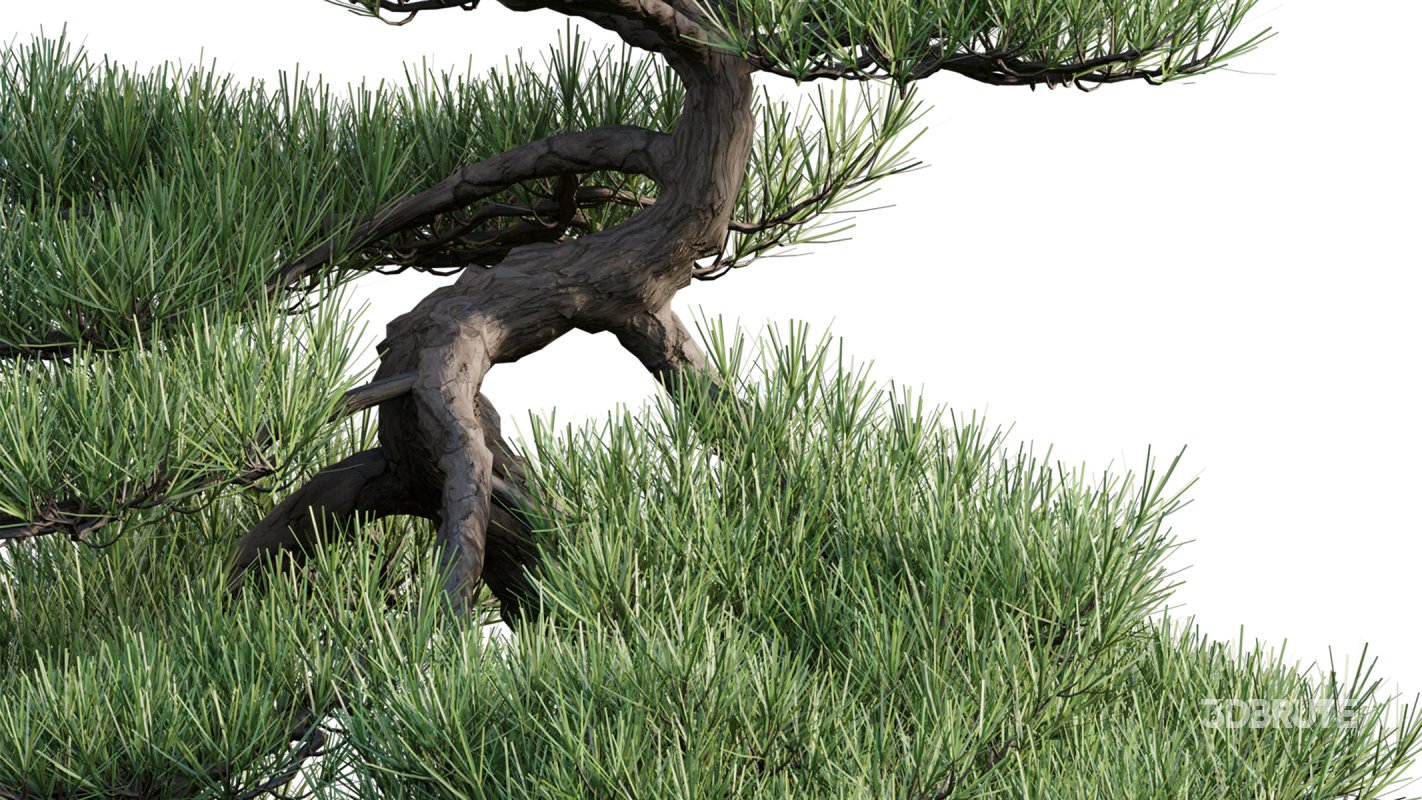 Collection 19 – Japanese garden Image 38