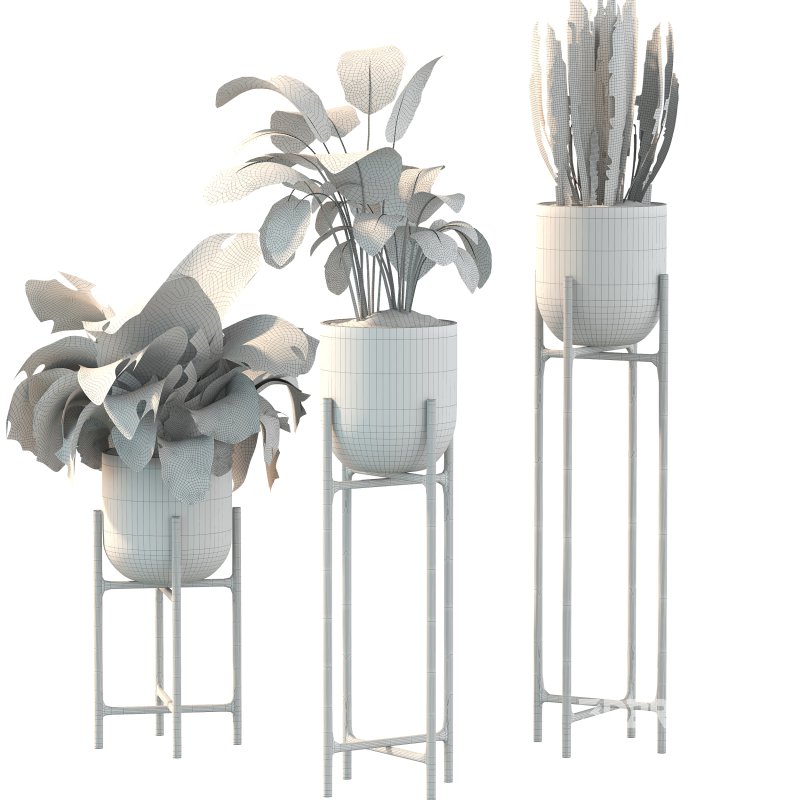 Metal Plant Set 06 Image 6