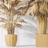 AV Indoor Plants Set 397 Zamiifolia and Giant Monstera and Dracaena Warneckii Lemon and Areca Palm - Thumbnail 14
