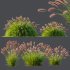 ntal fountain grass, designed for realistic exterior and landscape visualizations. - Thumbnail 8