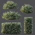 ntal shrubs that capture the natural charm and density of this iconic Australian plant. Perfectly suited for realistic landscape and architectural rendering. - Thumbnail 8