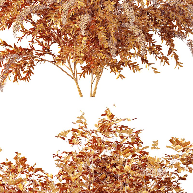 ntal spring bush designed for realistic exterior and garden visualization. Known as the “Bridal Wreath Spiraea,” this delicate shrub is characterized by arching stems densely covered with clusters of small white blossoms, creating a soft and elegant floral texture. Image 5