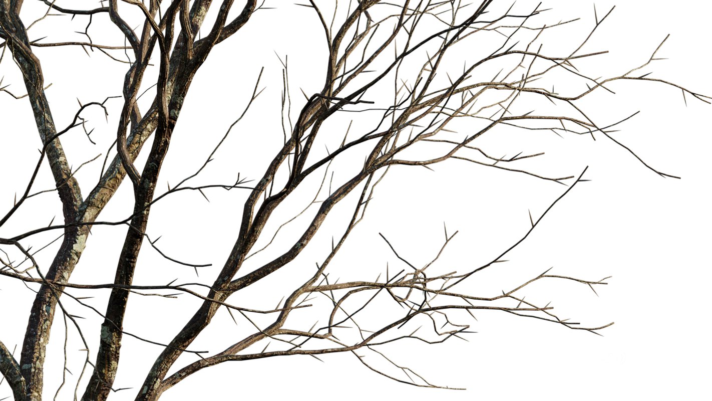 Collection 18 – Chinese garden Image 32