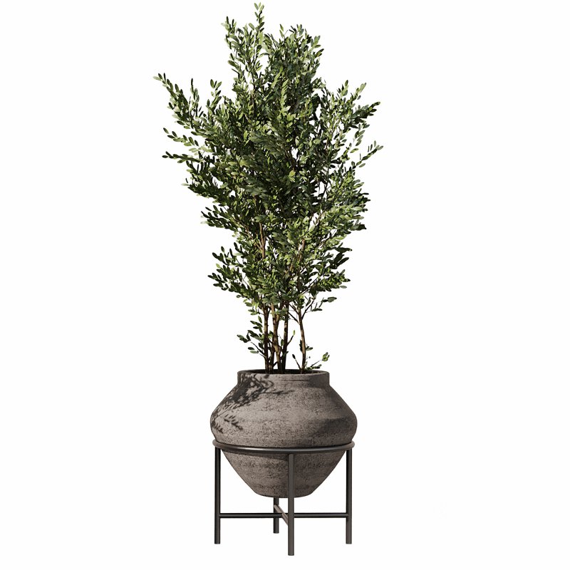 Indoor Plants Set 101 Image 3