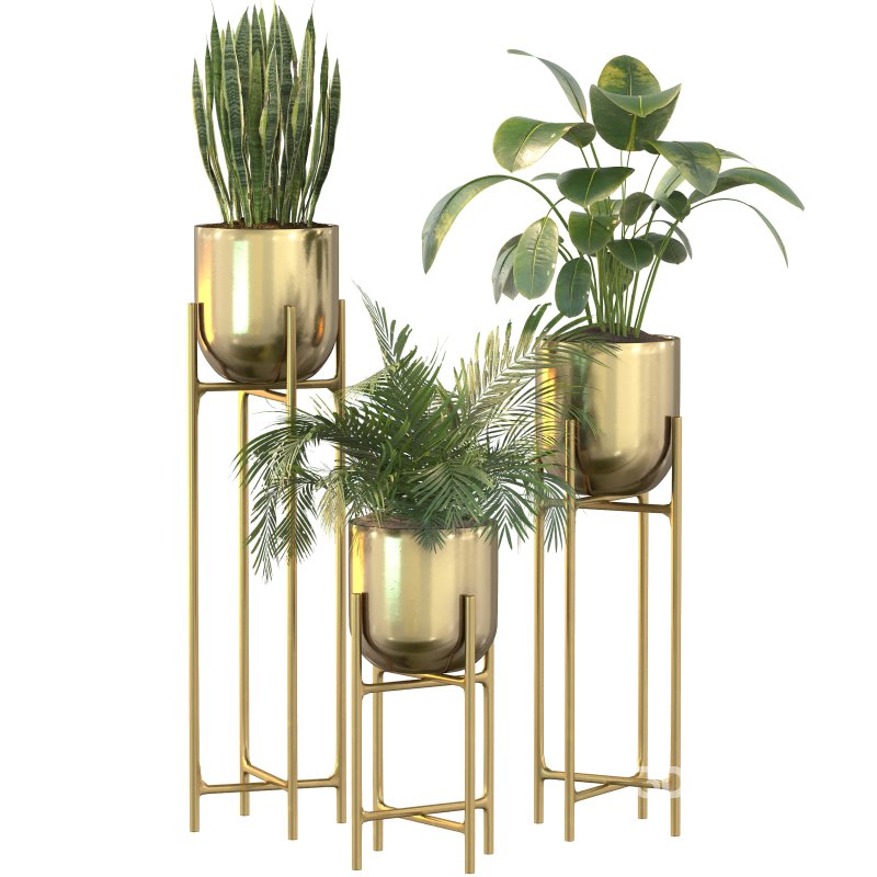 Metal Plant Set 06 Image 10