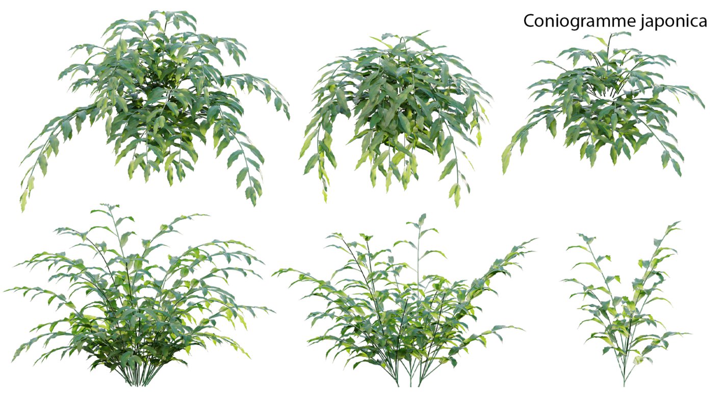 Collection 21 – Vertical garden – Green wall Image 27