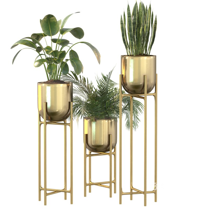 Metal Plant Set 06 Image 7