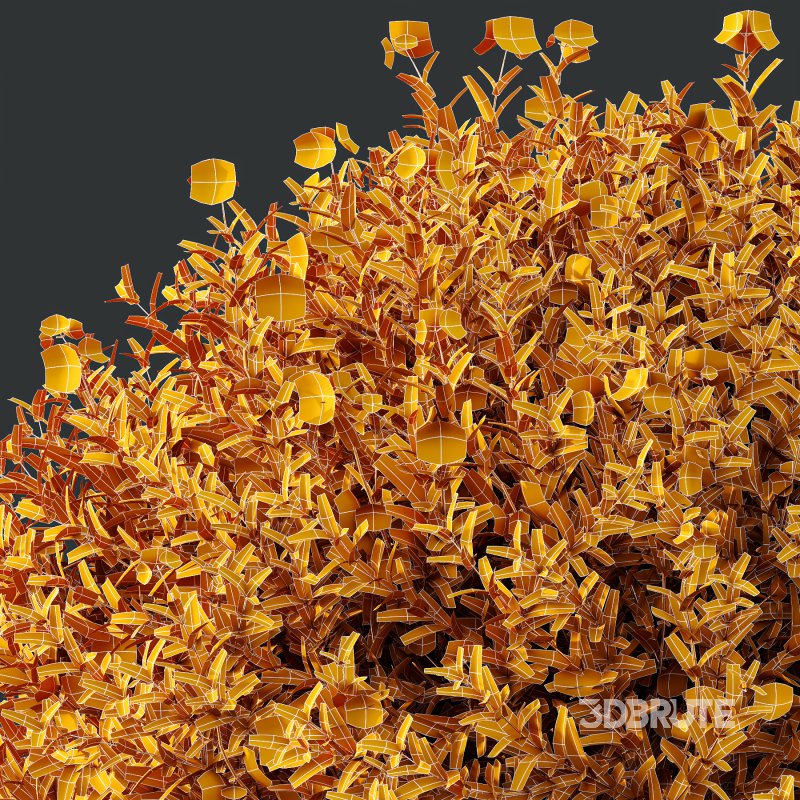 ntal shrubs designed for realistic landscape and architectural visualization. Image 8