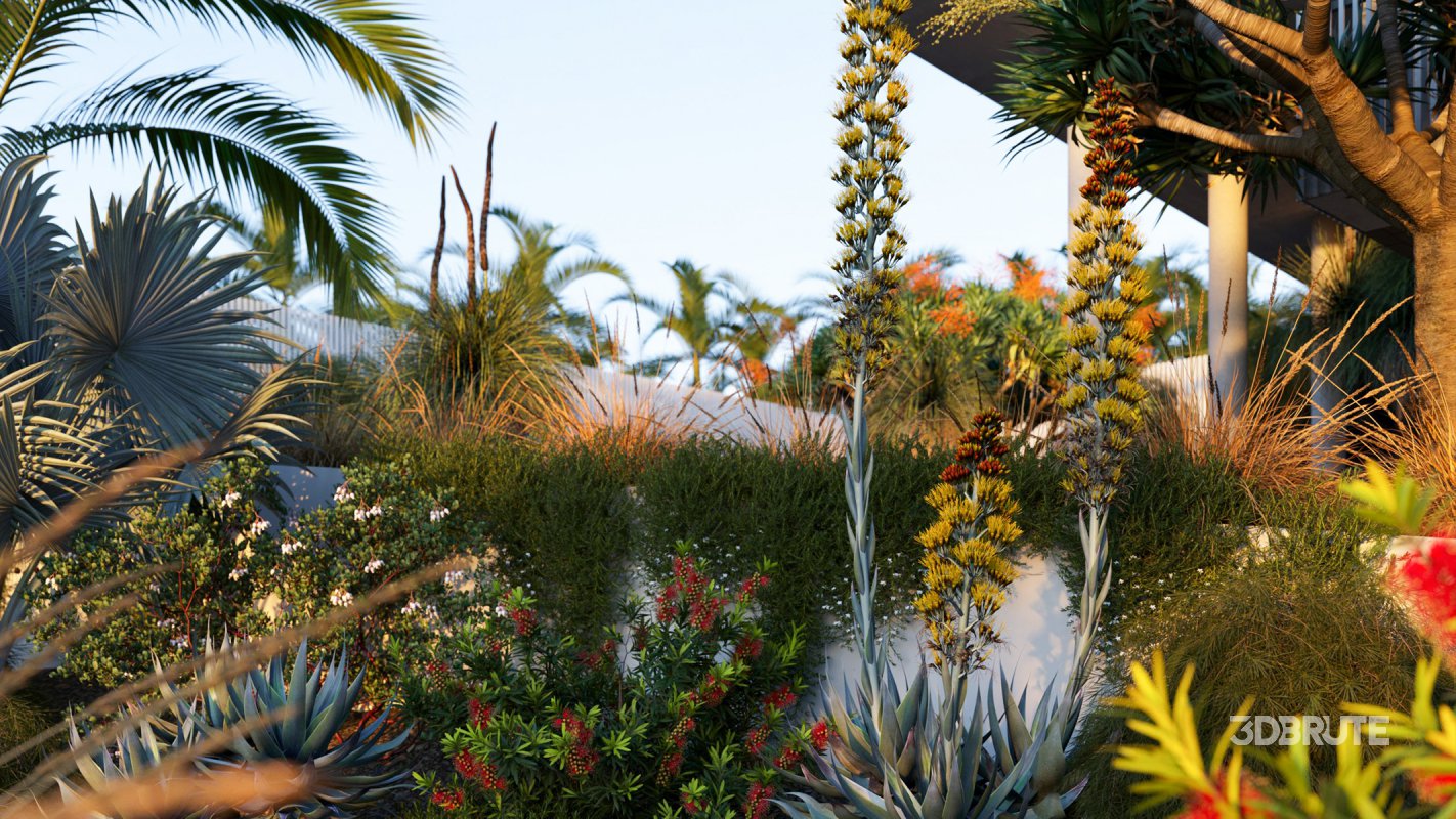 Collection 22 – Australian Plants Image 2