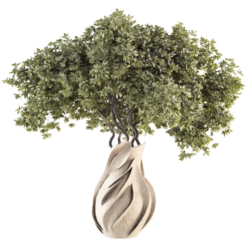 Flowers in Vase Collection 46 Image 3