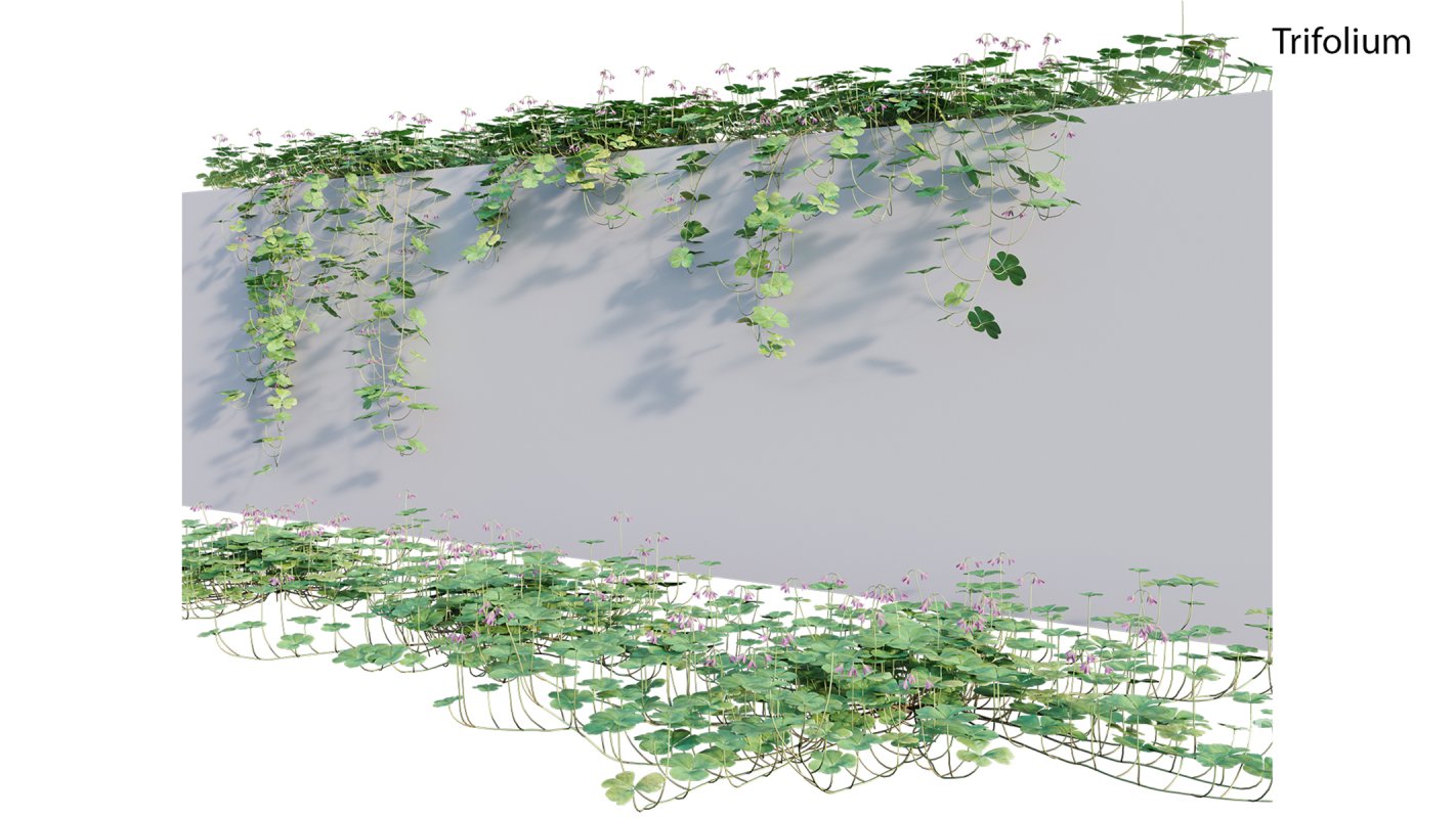 Collection 21 – Vertical garden – Green wall Image 24