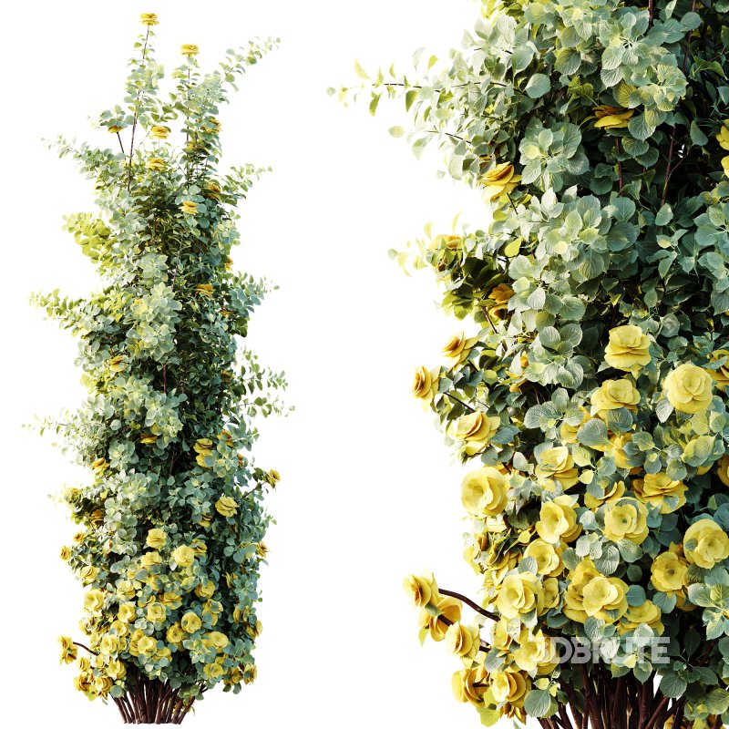 AV Plants Climbing Roses Bush Image 3