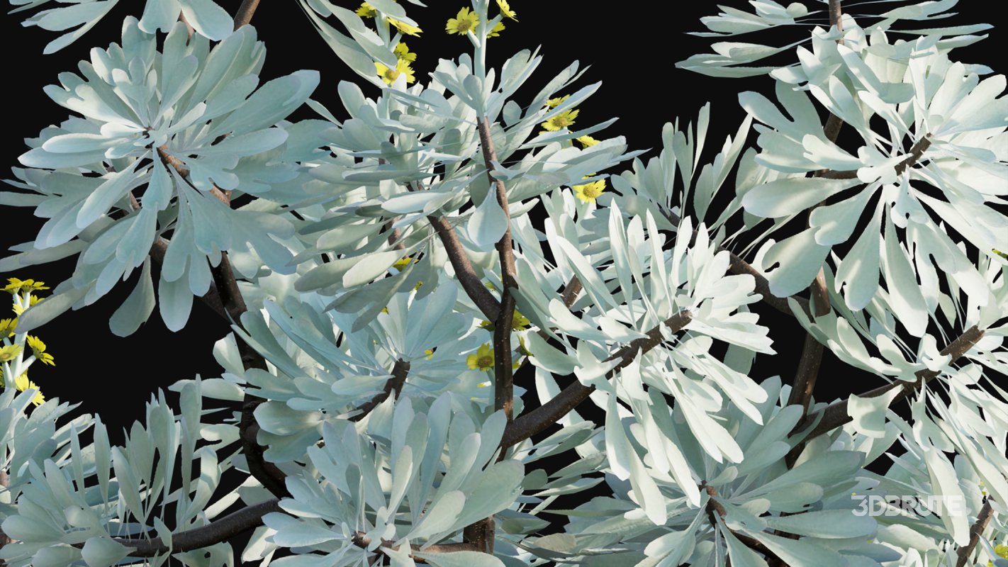 Collection 19 – Japanese garden Image 18