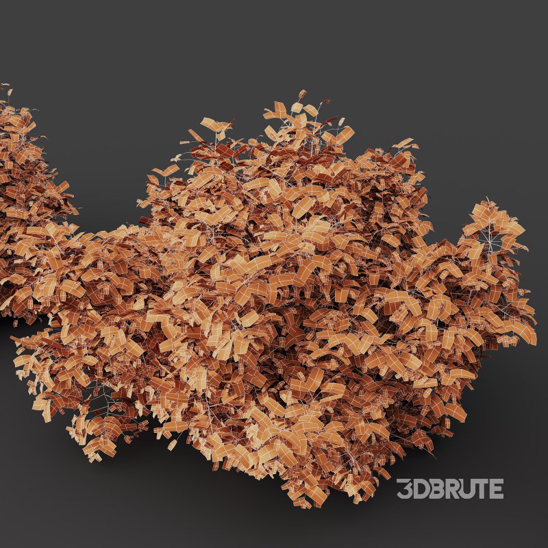 ntal shrubs, designed with botanical precision for photorealistic exterior rendering. Image 8