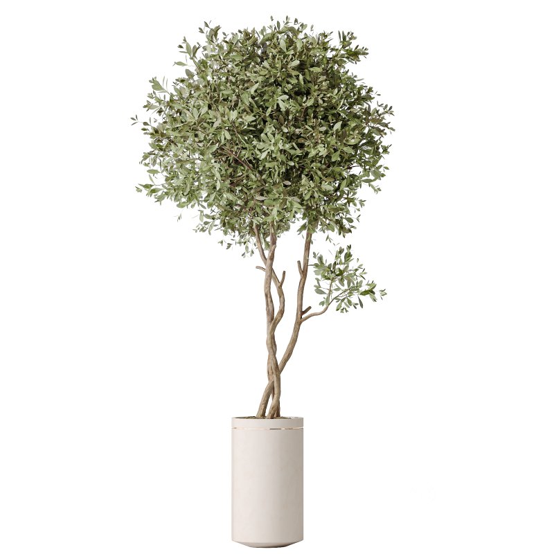 AV Indoor Plants Set 388 Image 1