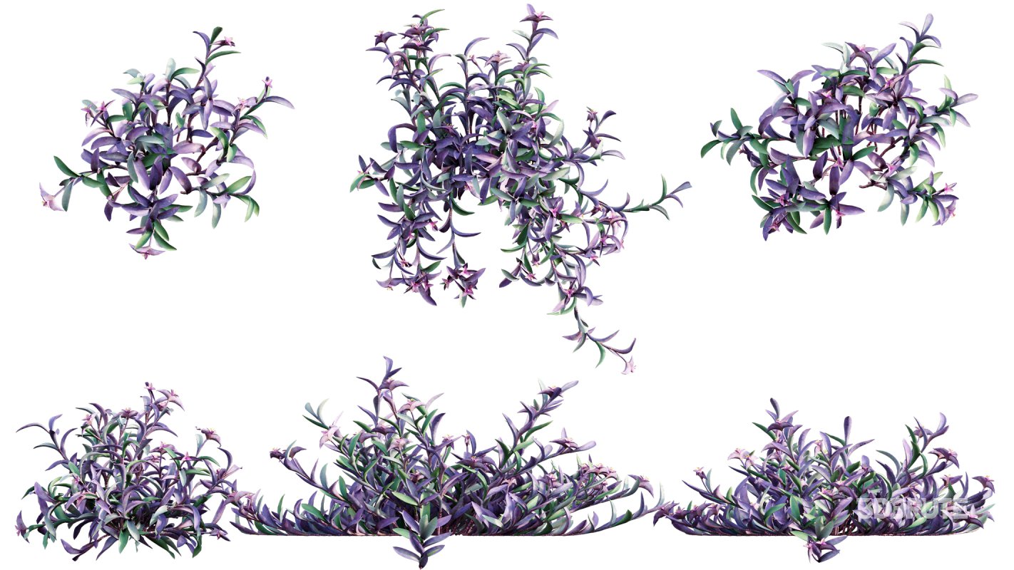 Collection 21 – Vertical garden – Green wall Image 22