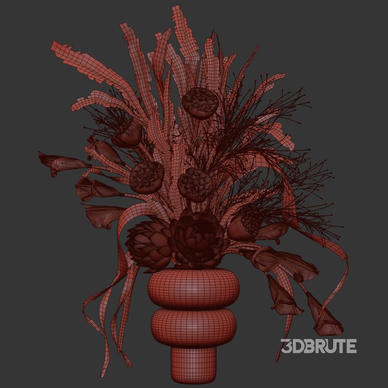 Lotus and Artichoke Dried Set47 Image 4