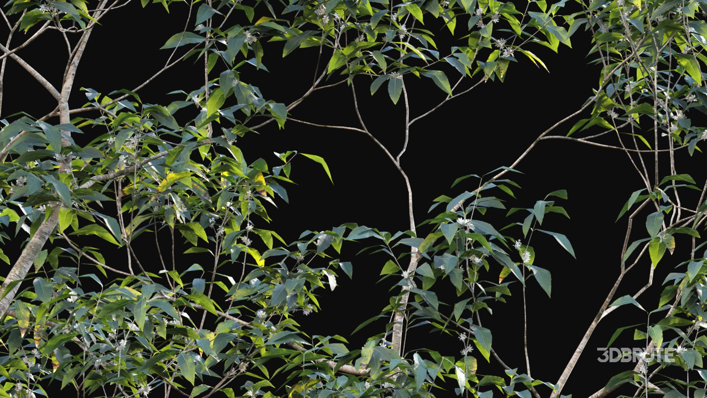 Collection 18 – Chinese garden Image 27