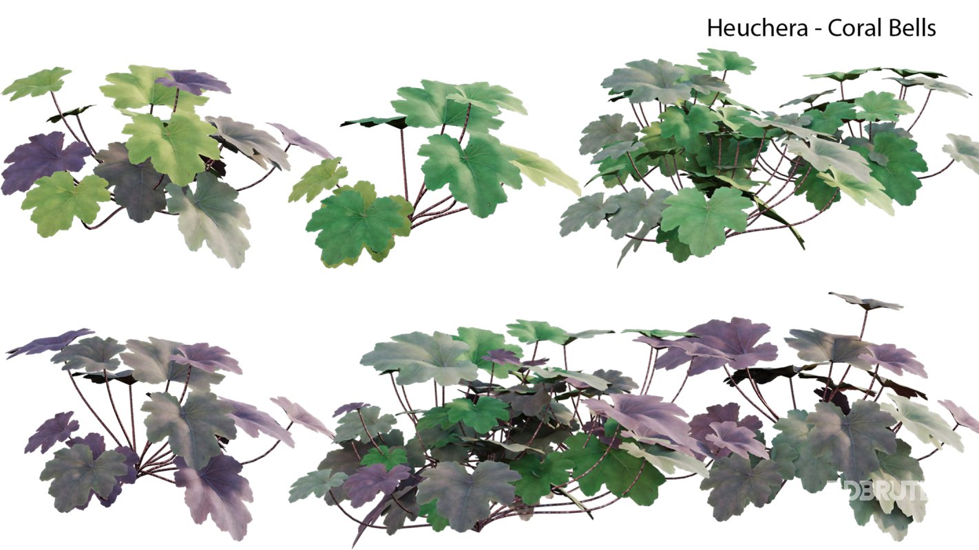 Collection 21 – Vertical garden – Green wall Image 9