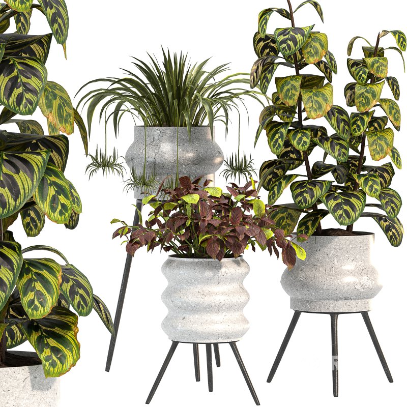 Concrete Pot Plant Set Image 7