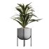 AV Indoor Plants Set 373 Japandi Decorative and Dracaena Warnecki and Ficus microcarpa and Schefflera Arboricola - Thumbnail 1