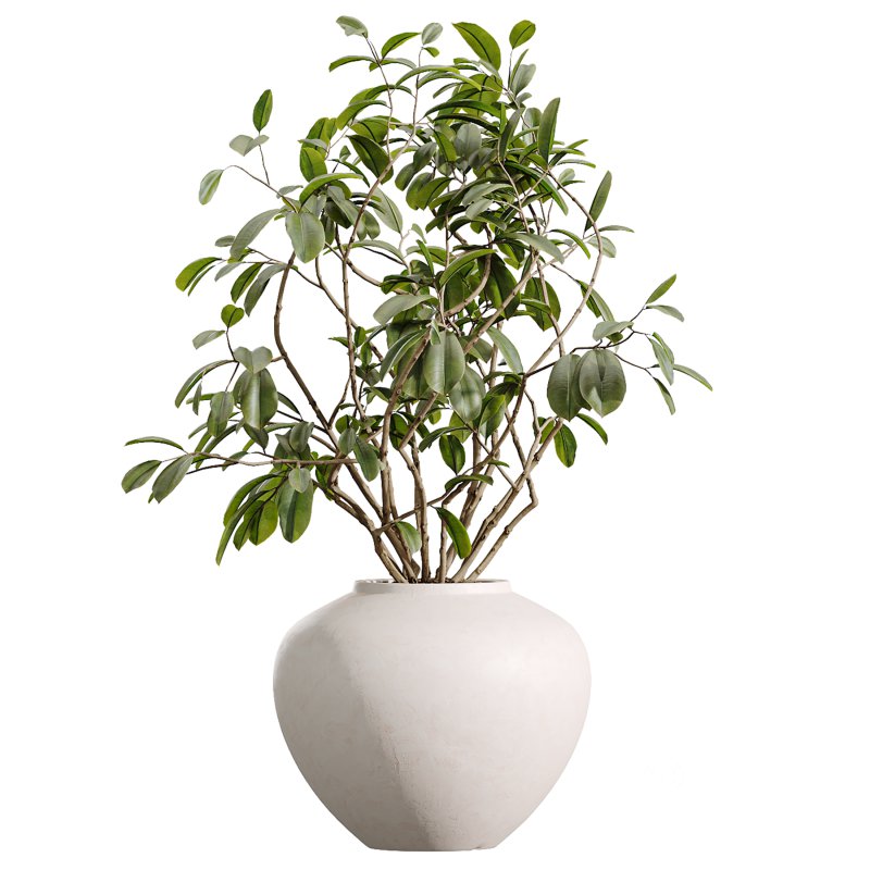 AV Indoor Plants Set 388 Image 4