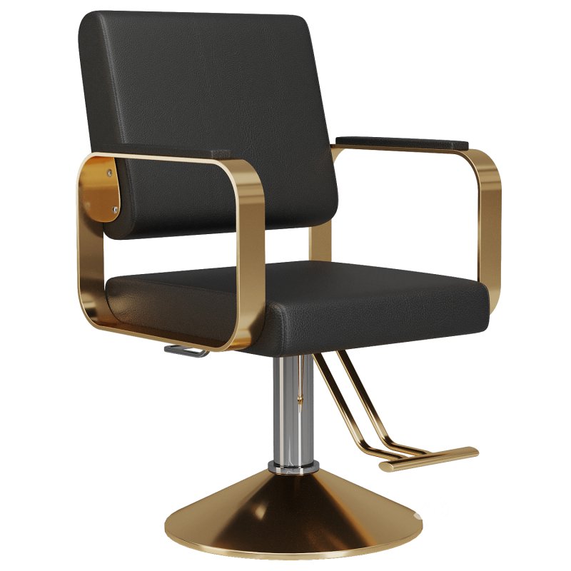 Hydraulic Salon Chair Image 2