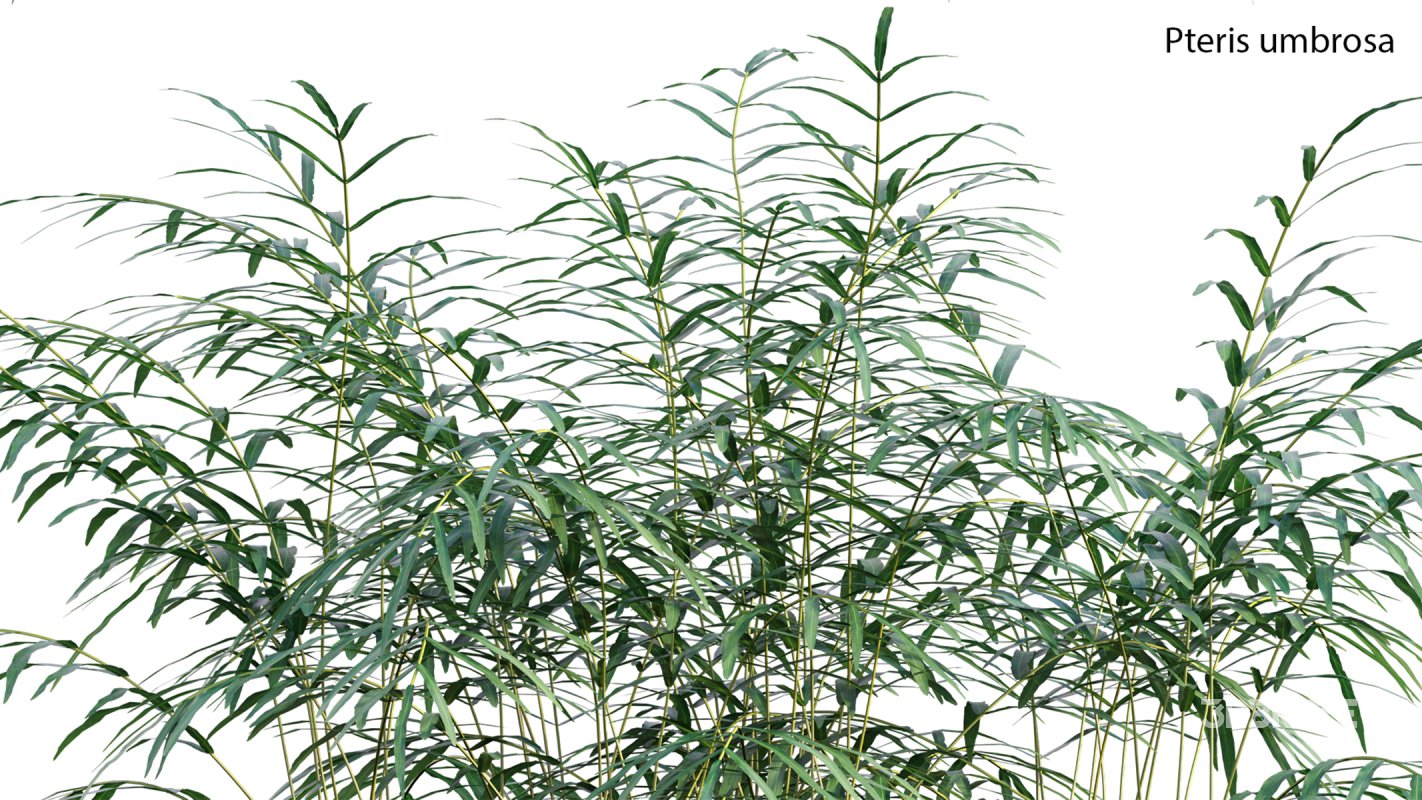 Collection 21 – Vertical garden – Green wall Image 21