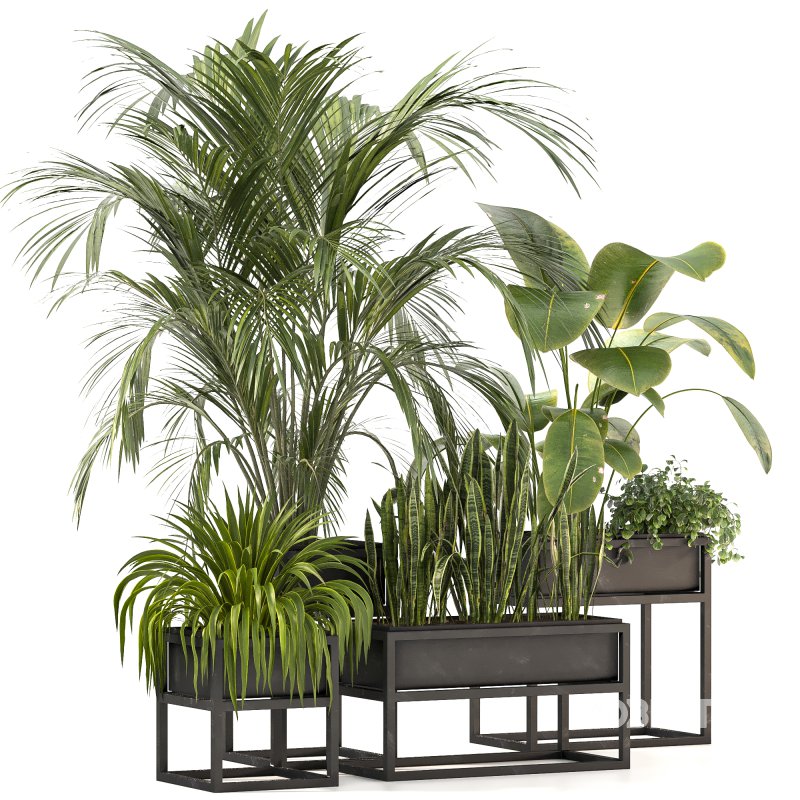 Metal plant set 07 Image 3