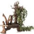 Wooden bench with English ivy - Thumbnail 5