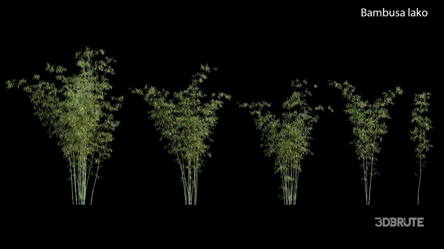 Collection 18 – Chinese garden Image 6