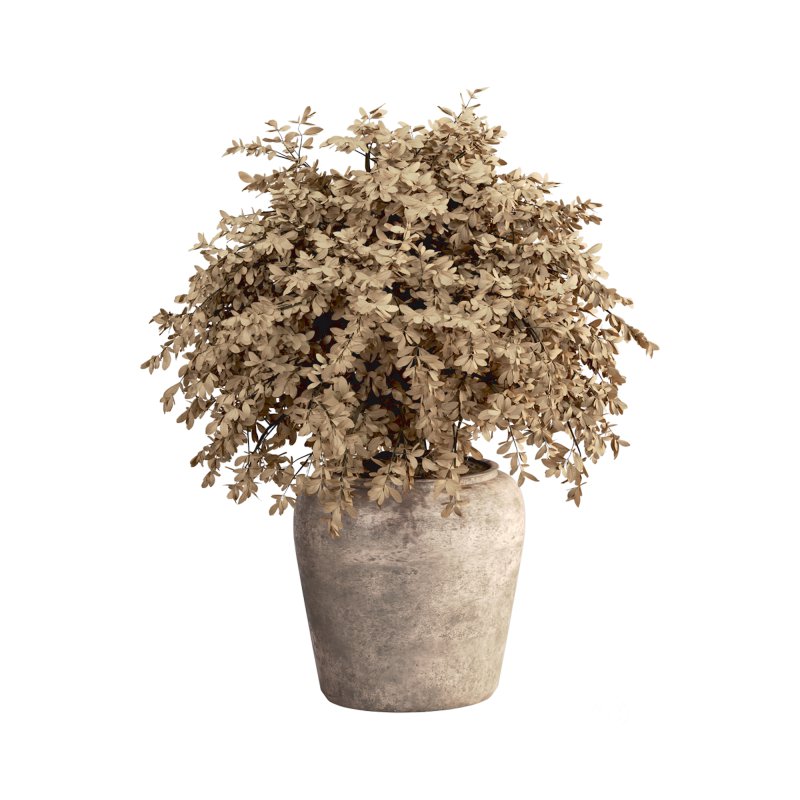 Indoor Plant Set 029 Image 4