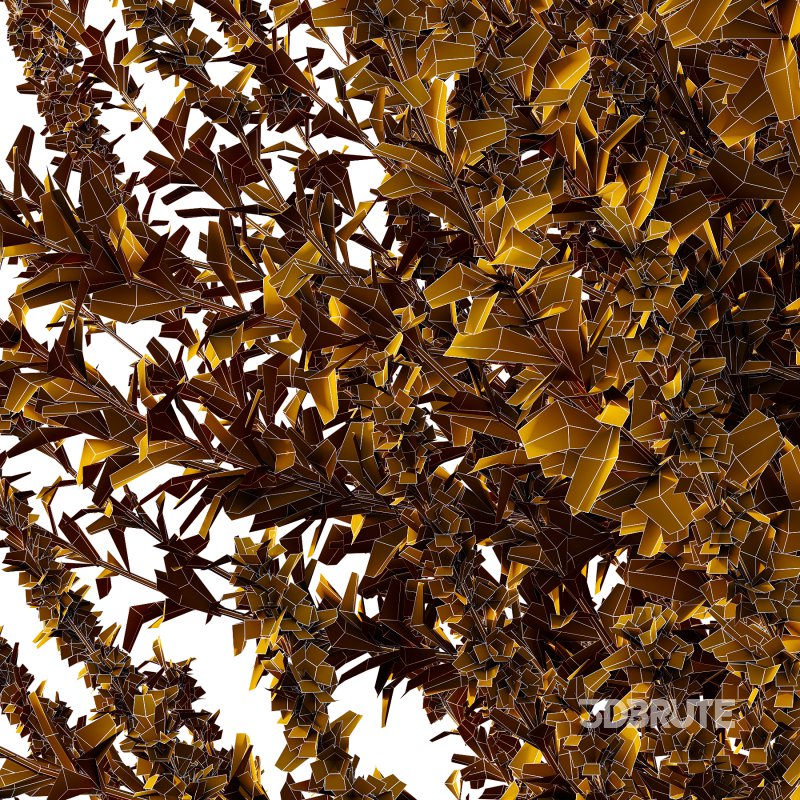 Leucophyllum frutescens Bush 04 Image 6